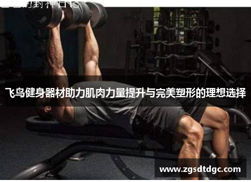 飞鸟健身器材助力肌肉力量提升与完美塑形的理想选择