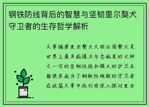 钢铁防线背后的智慧与坚韧里尔獒犬守卫者的生存哲学解析